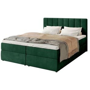 Boxbett Denver | grün | 180 cm | 102 cm |