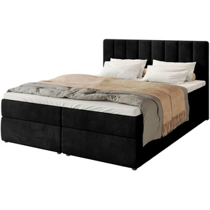 Boxbett Denver | schwarz | 160 cm | 102 cm |
