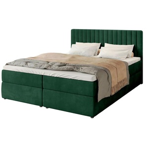 Boxbett Dream | grün | 160 cm | 102 cm |
