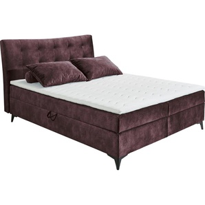 Boxbett ED EXCITING DESIGN Melrose Komplettbetten Gr. Microvelours inkl. zwei Bettkästen-Kopfteil Höhe 109, Liegefläche B/L: 160 cm x 200 cm, kein Härtegrad, lila (aubergine) Boxspringbett Boxspringbetten mit Bettkasten inkl. Topper