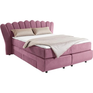 Boxbett LEONIQUE Fleurir Komplettbetten Gr. Samtvelours Polyester Schubkästen rechts und links, Topper Basic, Liegefläche B/L: 140 cm x 200 cm Betthöhe: 58 cm, Gewicht bis: 80 kg H2, 7-Zonen-Taschen-Federkernmatratze, lila (lilac) Boxspringbett