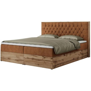 Boxbett mit Bettkasten Amore ¦ orange ¦ Maße (cm): B: 148 H: 115