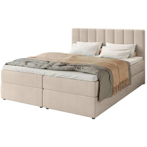Boxbett mit Stauraum und Topper Devora - beige - Materialmix - 180 cm - 102 cm | Möbel Kraft