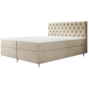 Boxbett mit Stauraum Chester ¦ creme ¦ Maße (cm): B: 140 H: 111
