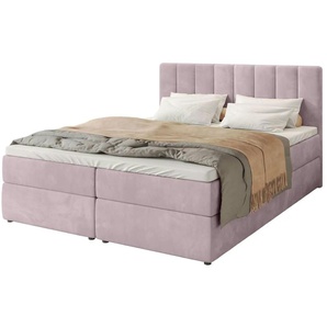 Boxbett mit Stauraum und Topper Devora ¦ rosa/pink ¦ Maße (cm): B: 160 H: 102