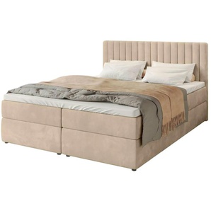 Boxbett mit Stauraum Drayton ¦ beige ¦ Maße (cm): B: 160 H: 102