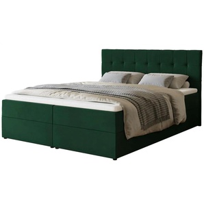 Boxbett Detroit | grün | 160 cm | 102 cm |