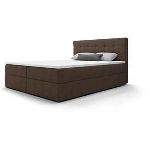 Boxbett mit Stauraum  Matratze H3 und Topper Fado 2 ¦ braun ¦ Maße (cm): B: 160 H: 102