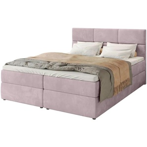 Boxbett mit Stauraum und Topper Boston ¦ rosa/pink ¦ Maße (cm): B: 140 H: 102