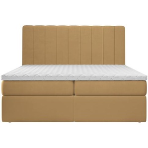 Boxspringbett Bobrow mit Topper und Bettkasten
