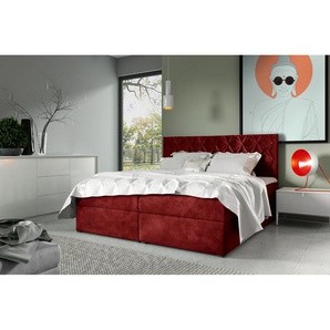 Boxspringbett BOX 7