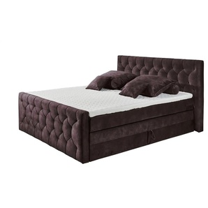 Boxspringbett Cashfield | lila/violett | 200 cm | 113 cm |