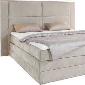 Boxspringbett COLLECTION AB Copenhagen Komplettbetten Gr. Luxus-Microfaser IBIZA Holzwerkstoff-Spanplatte ohne LED-Beleuchtung LED-Beleuchtung, Liegefläche B/L: 180 cm x 200 cm, Gewicht bis: 100 kg H3, 7-Zonen-Tonnentaschen-Federkernmatratze, grau