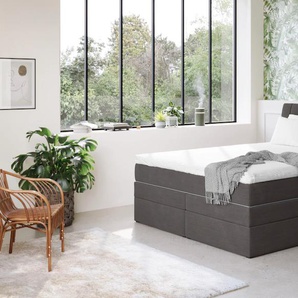 Boxspringbett COTTA Shark inkl. Bettkasten und Topper, grau (charcoal), B:186cm L:212cm, 100% POLYESTER (PES), Komplettbetten, erhältlich in den Breiten 140x200cm, 160x200cm und 180x200cm, Topseller
