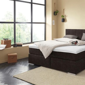 Boxspringbett COTTA Simba Komplettbetten Gr. Microfaser Polyester, Liegefläche B/L: 160 cm x 200 cm Betthöhe: 55 cm, Gewicht bis: 120 kg H3, 5-Zonen-Taschen-Federkernmatratze, braun Boxspringbett Boxspringbetten ohne Bettkasten Komplettbetten inklusive