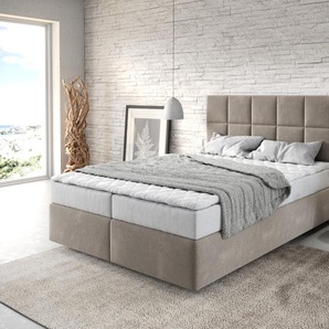 Boxspringbett Dream-Fine 140x200 cm Mikrofaser Beige mit Matratze und Topper, Boxspringbetten