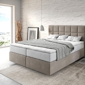 Boxspringbett Dream-Fine 160x200 cm Mikrofaser Beige mit TFK Matratze und Visco Topper, Boxspringbetten