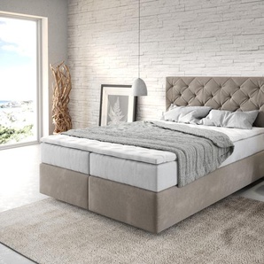 Boxspringbett Dream-Great 140x200 cm Mikrofaser Beige mit TFK Matratze und Visco Topper, Boxspringbetten