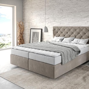 Boxspringbett Dream-Great 160x200 cm Mikrofaser Beige mit Matratze und Topper, Boxspringbetten