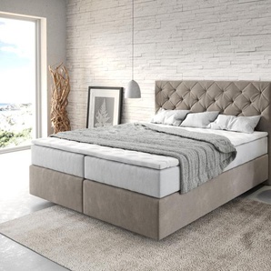 Boxspringbett Dream-Great 160x200 cm Mikrofaser Beige mit TFK Matratze und Visco Topper, Boxspringbetten