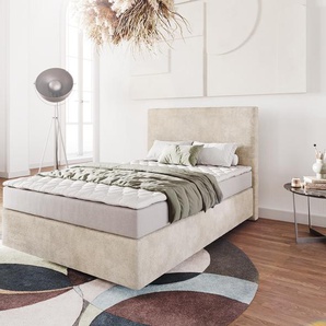 Boxspringbett Dream-Well 120x200 cm Cord Beige mit Matratze und Topper, Boxspringbetten