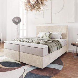 Boxspringbett Dream-Well 160x200 cm Cord Beige mit Taschenfederkernmatratze und Topper Visco, Boxspringbetten