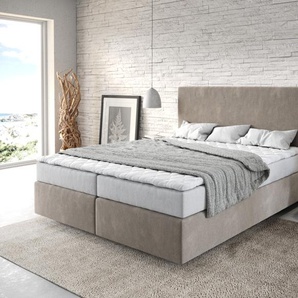 Boxspringbett Dream-Well 160x200 cm Mikrofaser Beige mit Matratze und Topper, Boxspringbetten