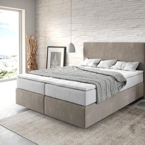 Boxspringbett Dream-Well 160x200 cm Mikrofaser Beige mit TFK Matratze und Visco Topper, Boxspringbetten