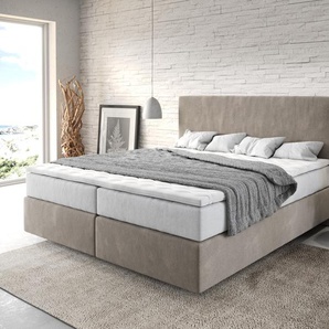 Boxspringbett Dream-Well 180x200 cm Mikrofaser Beige mit TFK Matratze und Visco Topper, Boxspringbetten
