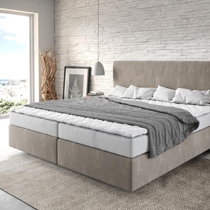 Boxspringbett Dream-Well Mikrofaser Beige 200x200 cm Bonell-Matratze PU-Topper, Boxspringbetten