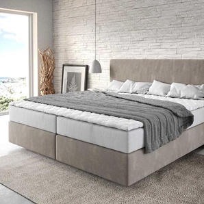Boxspringbett Dream-Well Mikrofaser Beige 200x200 cm mit Taschenfederkernmatratze und Topper Visco, Boxspringbetten