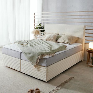 Boxspringbett Dream-Well Plüsch-Cord Beige 160x200 cm TFK-Matratze Visco-Topper, Boxspringbetten