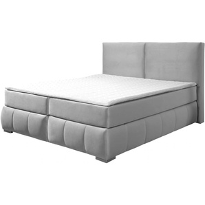Boxspringbett GUIDO MARIA KRETSCHMER HOME&LIVING Wehma Komplettbetten Gr. Samtstoff, Liegefläche B/L: 200 cm x 200 cm Betthöhe: 54 cm, Gewicht bis: 120 kg H4, 7-Zonen-Tonnentaschen-Federkernmatratze, silberfarben (silber) Boxspringbetten ohne Bettkasten
