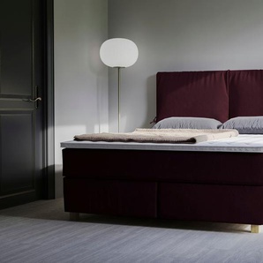 Boxspringbett HOME AFFAIRE Nele Komplettbetten Gr. Samtvelours mit Viscosetopper, Liegefläche B/L: 140 cm x 200 cm, H2, Taschen-Federkernmatratze, lila Boxspringbetten ohne Bettkasten inkl. Topper im schlichtem Design