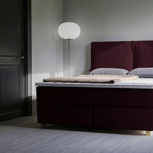 Boxspringbett HOME AFFAIRE Nele Komplettbetten Gr. Samtvelours mit Viscosetopper, Liegefläche B/L: 180 cm x 200 cm, H2 + H3, Taschen-Federkernmatratze, lila Boxspringbetten ohne Bettkasten inkl. Topper im schlichtem Design