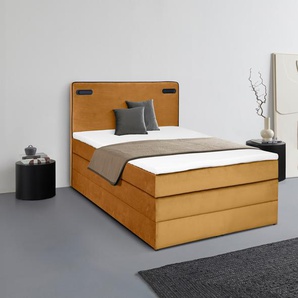 Boxspringbett LEONIQUE Adil Komplettbetten Gr. Samtoptik mit Bettkasten LED-Beleuchtung, Liegefläche B/L: 140 cm x 200 cm Betthöhe: 64 cm, Gewicht bis: 100 kg H3, Bonnell-Federkernmatratze, goldfarben (gold) Boxspringbetten mit Bettkasten LED Beleuchtung,