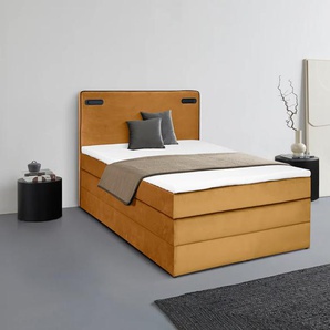 Boxspringbett LEONIQUE Adil Komplettbetten Gr. Samtoptik mit Bettkasten LED-Beleuchtung, Liegefläche B/L: 140 cm x 200 cm Betthöhe: 64 cm, Gewicht bis: 130 kg H4, Bonnell-Federkernmatratze, goldfarben (gold) Boxspringbetten mit Bettkasten LED Beleuchtung,