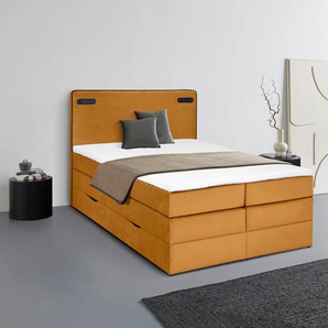 Boxspringbett LEONIQUE Adil Komplettbetten Gr. Samtoptik mit Bettkasten LED-Beleuchtung, Liegefläche B/L: 160 cm x 200 cm Betthöhe: 64 cm, Gewicht bis: 100 kg H3, Taschen-Federkernmatratze, goldfarben (gold) Boxspringbetten mit Bettkasten LED Beleuchtung,