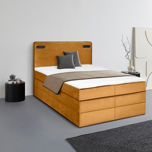 Boxspringbett LEONIQUE Adil Komplettbetten Gr. Samtoptik ohne Bettkasten LED-Beleuchtung, Liegefläche B/L: 160 cm x 200 cm Betthöhe: 59 cm, Gewicht bis: 100 kg H3, Taschen-Federkernmatratze, goldfarben (gold) Boxspringbetten mit Bettkasten LED