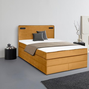 Boxspringbett LEONIQUE Adil Komplettbetten Gr. Samtoptik ohne Bettkasten LED-Beleuchtung, Liegefläche B/L: 180 cm x 200 cm Betthöhe: 59 cm, Gewicht bis: 100 kg H3, Bonnell-Federkernmatratze, goldfarben (gold) Boxspringbetten mit Bettkasten LED