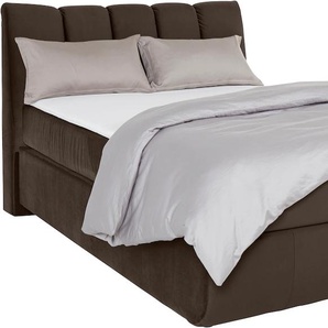 Boxspringbett LEONIQUE Océane Komplettbetten Gr. Samtvelours Polyester Topper Basic, Liegefläche B/L: 140 cm x 200 cm Betthöhe: 64 cm, H4, 7-Zonen-Taschen-Federkernmatratze, braun (brown) Boxspringbetten ohne Bettkasten Bodenfrei- wirkt freischwebend,