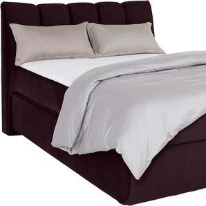Boxspringbett LEONIQUE Océane Komplettbetten Gr. Samtvelours Polyester Topper Basic, Liegefläche B/L: 140 cm x 200 cm Betthöhe: 64 cm, H4, 7-Zonen-Taschen-Federkernmatratze, lila (purple) Boxspringbetten ohne Bettkasten Bodenfrei- wirkt freischwebend,