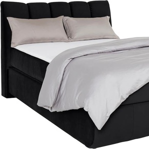 Boxspringbett LEONIQUE Océane Komplettbetten Gr. Samtvelours Polyester Topper Basic, Liegefläche B/L: 140 cm x 200 cm Betthöhe: 64 cm, H4, 7-Zonen-Taschen-Federkernmatratze, schwarz (black) Boxspringbetten ohne Bettkasten Bodenfrei- wirkt freischwebend,