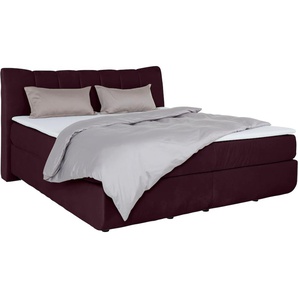 Boxspringbett LEONIQUE Océane Komplettbetten Gr. Samtvelours Polyester Topper Basic, Liegefläche B/L: 180 cm x 200 cm Betthöhe: 64 cm, H2 + H2, 7-Zonen-Taschen-Federkernmatratze, lila (purple) Boxspringbetten ohne Bettkasten Bodenfrei- wirkt