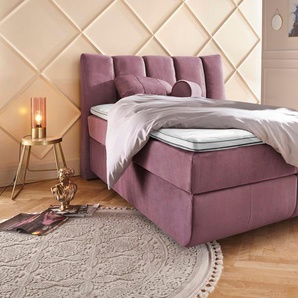 Boxspringbett LEONIQUE Océane Komplettbetten Gr. Samtvelours Polyester Topper Basic, Liegefläche B/L: 140 cm x 200 cm Betthöhe: 64 cm, H4, 7-Zonen-Taschen-Federkernmatratze, lila (lilac) Bett Boxspringbett Polsterbetten Boxspringbetten ohne Bettkasten