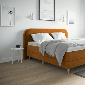 Boxspringbett Meghan 140 x 220 cm Gold