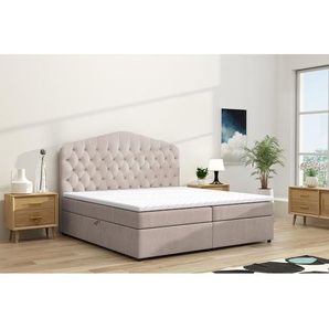 Boxbett Miriam mit Stauraum 200 x 200cm Samt Beige/Beige Buche