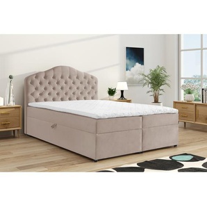 Boxbett Miriam mit Stauraum 160 x 200cm Samt Beige/Beige Buche