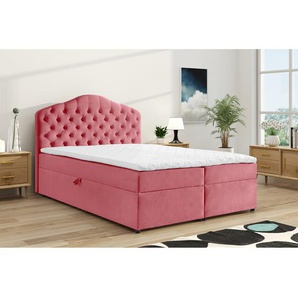 Boxbett Miriam mit Stauraum 160 x 200cm Samt Pink/Pink Buche