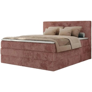 Boxspringbett mit Bettkasten - rosa/pink - Materialmix - 146 cm - 119 cm | Möbel Kraft